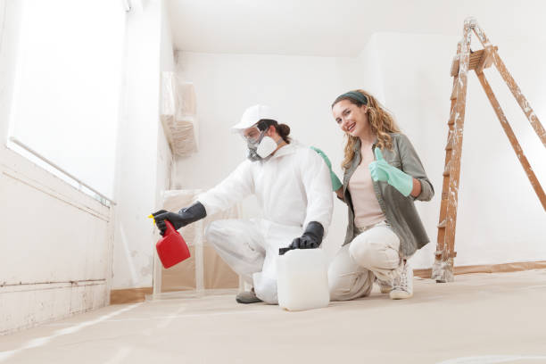 Best Asbestos and Lead Testing During Mold Inspection  in Rolla, ND